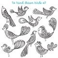 Set of cute ornamental hand drawn birds