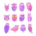 Set of cute owls isolated on white background Royalty Free Stock Photo