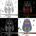 Set of cute owls. Zen art. Design Zentangle. Detailed hand drawn owl with abstract patterns on isolation background Royalty Free Stock Photo