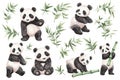 Set of cute panda with bamboo, watercolor illustrations for printing on baby clothes, sticker, postcards, baby showers