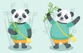 Set of cute pandas with bamboo, vector illustration Royalty Free Stock Photo