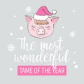 Set of cute pig cartoon characters. Chinese symbol of the 2019 year. Happy New Year. Cute funny piggy illustration. Royalty Free Stock Photo