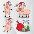 Set of Cute pigs in the hat of Santa Claus, gift boxes with Christmas tree, Vector image