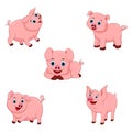 Set of Cute pigs Royalty Free Stock Photo