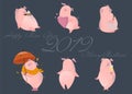 Set of cute pigs. The symbol of the Chinese new 2019 year. Vector illustration on white background. Elements for design. Royalty Free Stock Photo