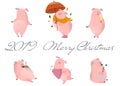 Set of cute pigs. The symbol of the Chinese new 2019 year. Vector illustration on white background. Elements for design. Royalty Free Stock Photo