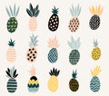 Set of of cute pineapples with different textures.