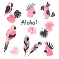 Set of cute pink watercolor parrots. Vector collection of tropical birds Royalty Free Stock Photo