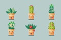 Set of cute plants in potted kawaii characters