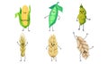 Set of cute pods and ears of corn. Vector illustration.