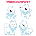 Set of cute pomeranian puppy dog