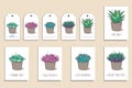 Set of cute postcards and tags with hand drawn succulents. Vector illustration.