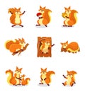 Set of cute red squirrel in different actions. Small forest rodent. Wild animal. Isolated flat vector illustrations Royalty Free Stock Photo