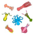 Set of cute sea cephalopods. Color vector hand drawing illustration.