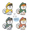 Set of cute siberian husky puppies in colorful raincoats. Vector illustration