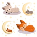 A set of cute sleeping animals. A set of vector images with wild animals