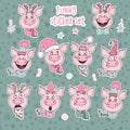 Set of 10 cute stickers pigs with emotions
