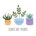 Set of cute succulents cactus with smiling funny faces