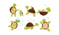 Set With Cute Turtles In Different Active Poses Vector Illustration Cartoon Character