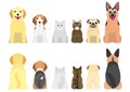 Senior dogs and cats in a row, front and back Royalty Free Stock Photo