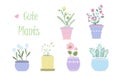 Set of cute vector flower pots for home decor in pastel colors. Flat vector illustration in modern design. Six cute Royalty Free Stock Photo