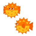 Set cute vector illustration cartoon fish Fugu. orange globefish isolated on white background