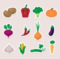 Set of cute vector stickers vegetables icons. Flat style