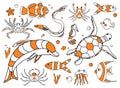 Set of cute water animals. Nautic hand drawn element sea. Life deep sea inhabitants. Underwater world. Vector illustration