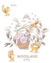 Set cute watercolor bohemian baby squirrel animal and wooden basket poster for nursary, alphabet woodland isolated forest Royalty Free Stock Photo