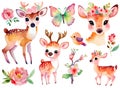 Set of cute watercolor deer set with flowers and butterflies, isolated on white background. Children\'s drawing Royalty Free Stock Photo