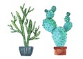 Set of cute watercolor green and blue cactus