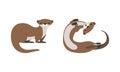 Set of Cute Weasel, Adorable Funny Otter Animal Cartoon Vector Illustration