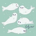 Set of cute white baby seals. Vector graphics Royalty Free Stock Photo