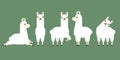 Set of cute white llama animal in different postures. Design for card, sticker , fabric textile, t shirt. children, kid modern tre