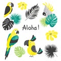 Set of cute yellow watercolor parrors. Vector collection of tropical birds