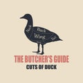 Set for cuts of meat. Scheme and diagram of the butcher poster - duck.Vector illustration