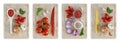 Set of cutting boards with tomatoes, onions, garlic, basil and s Royalty Free Stock Photo