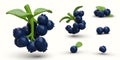 Set of 3D blueberries. Ripe blue berries in bunches and individually