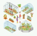 Set of 3d glass greenhouse, hotbed with seedlings. People water plants, flowers, vegetables in garden bed, flowerbed