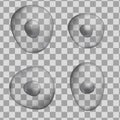 Set of 3d human grey cell. Realistic illustration. Template for medicine and biology