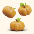 Set of 3D pumpkins, top, bottom, side view. Colorful autumn vegetables