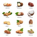 Set of 3d realistic objects icons nuts