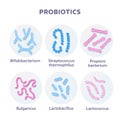 Set of 3d render Probiotic Bacteria Bulgaricus, Lactobacillus, Propionbacterium. Lactococcus, Streptococcus Thermofillus