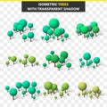 Set 3D trees in isometry and transparent shadow. Isometric tree