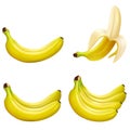 Set of 3d vector realistic illustration bananas. Banana,half peeled banana,bunch of bananas isolated on white background, banana Royalty Free Stock Photo