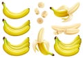 Set of 3d vector realistic illustration bananas. Banana,half peeled banana,bunch of bananas, pieces and slices of banana isolated