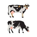 Set of dairy cows spotted in black, white, gray, gold and pink. Agriculture, farming, village life. Pet.
