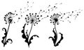 Set of dandelions with hearts. Collection of dandelion silhouettes with flying seeds. Black white vector illustration of Royalty Free Stock Photo