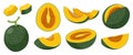 Set of dark green cantaloupe melons. Vector illustration of whole melon and melons cut into pieces and slices. Isolated Royalty Free Stock Photo