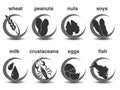 Set of dark grey circular symbols with the most common food allergies. Icon of wheat, peanuts, nuts, soya, milk, crustaceans, eggs